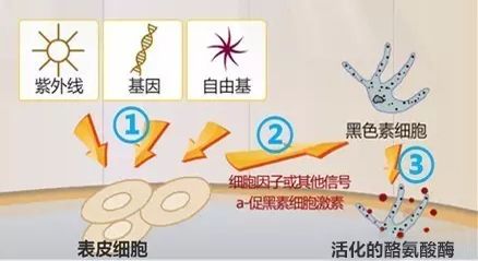 一白遮百丑 女明星们的美白妙招都这么“猛”？